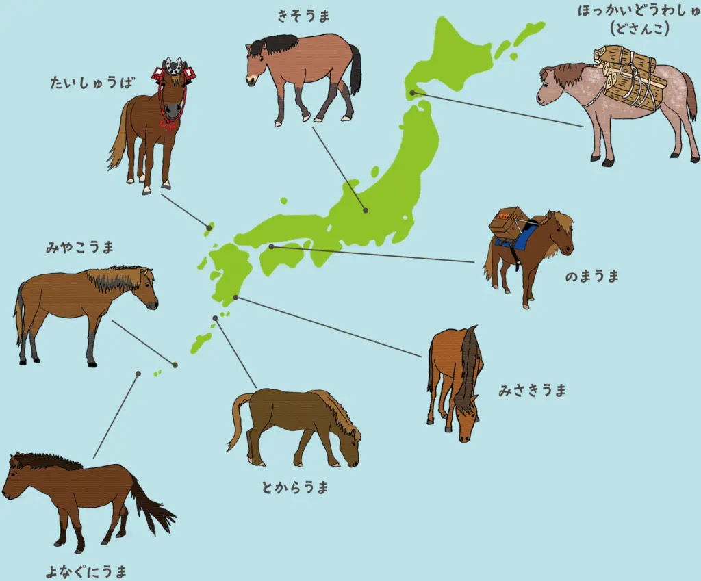 日本在来馬のふるさとマップ