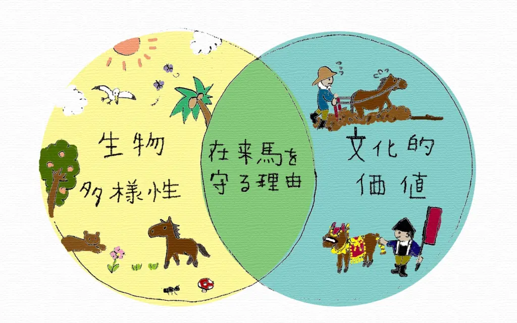 日本在来馬を保護する理由は、生物多様性を保つため、そして日本在来馬には文化的価値があるため。