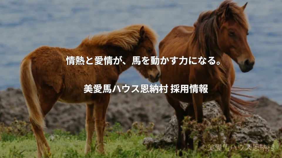 美愛馬ハウス恩納村採用情報